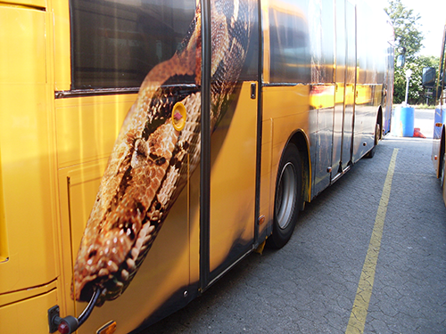 Zoo snake bus