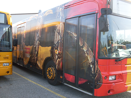 Zoo snake bus