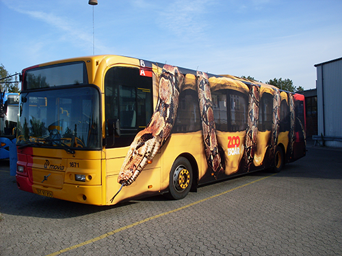 Zoo snake bus